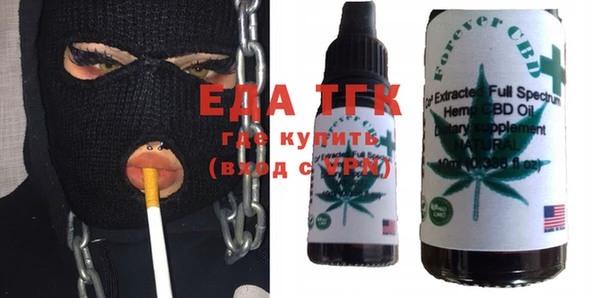 хмурый Магас