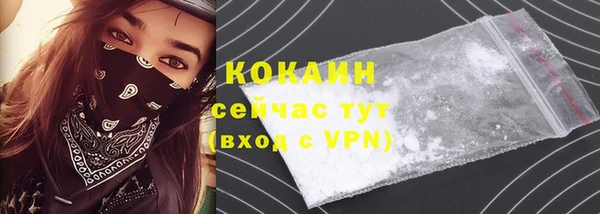 хмурый Магас