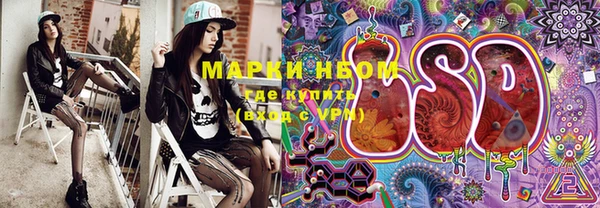 хмурый Магас