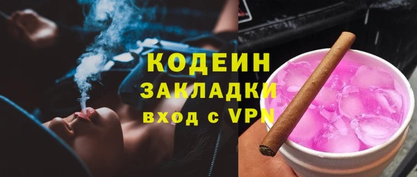 хмурый Магас