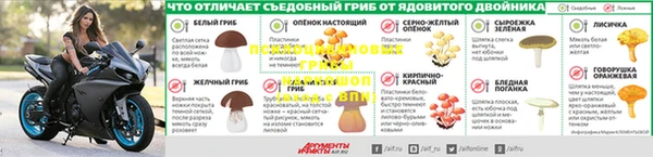 хмурый Магас