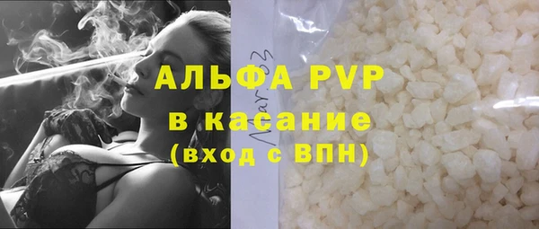 хмурый Магас