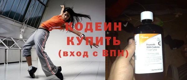 хмурый Магас
