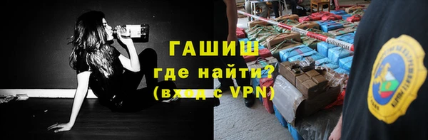 хмурый Магас