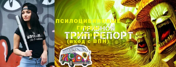 хмурый Магас