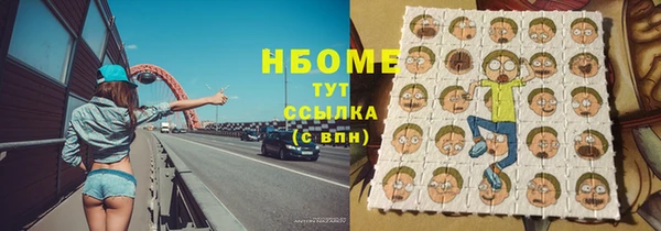 хмурый Магас
