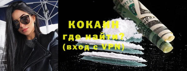 хмурый Магас