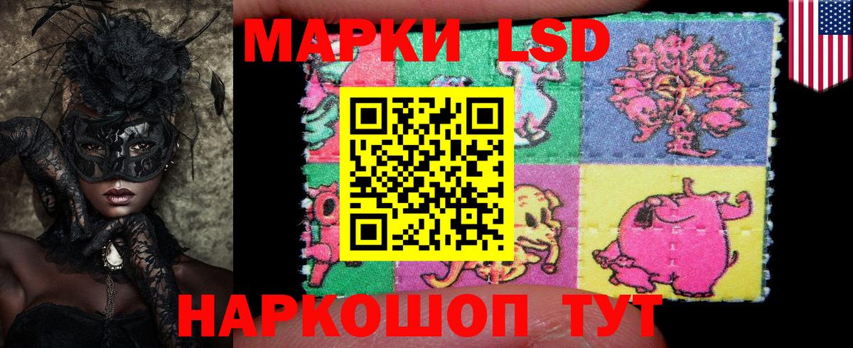 закладка  Елец  Марки N-bome 1500мкг 