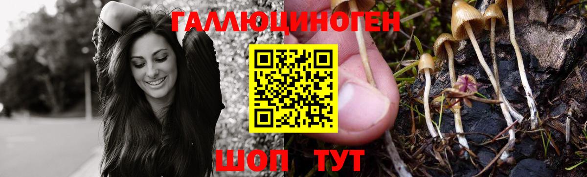Елец  Галлюциногенные грибы Magic Shrooms  Вход с VPN 