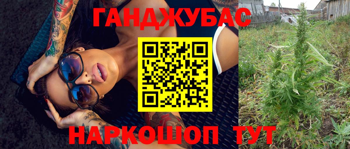Конопля сатива Елец